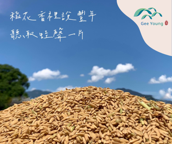 養生米糠粉 400g：圖片 2