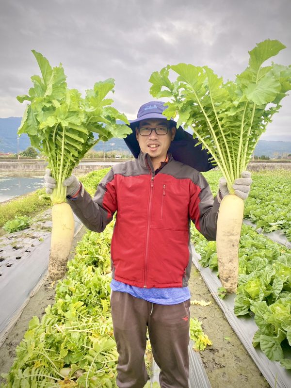 手工黃金蘿蔔乾：圖片 2